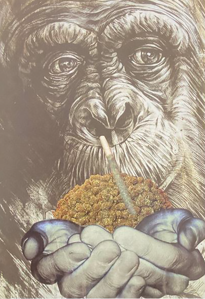 Gorilla Glue || 420 Birthday Card
