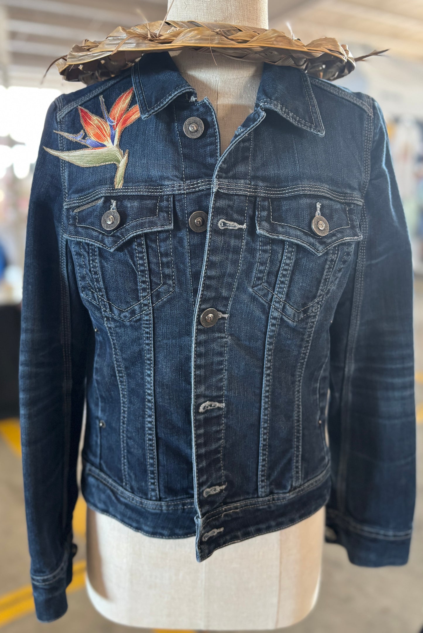 Bird of Paradise ||  Small